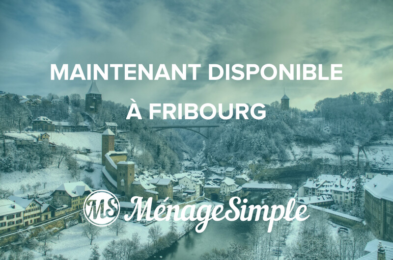 Menage_Simple_fribourg_OUVERTURE
